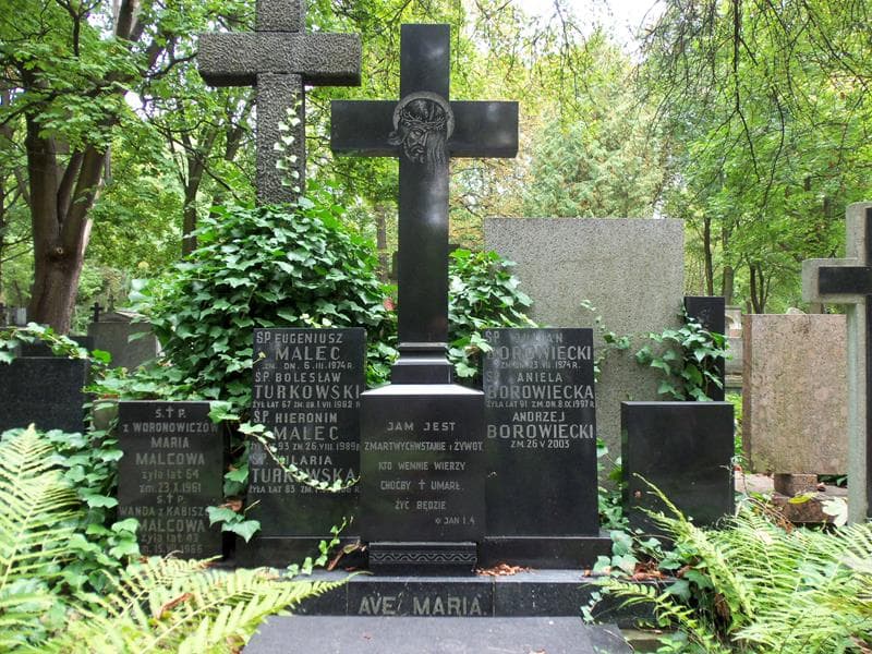 Zdjęcie grobu Wanda Malcowa (2)