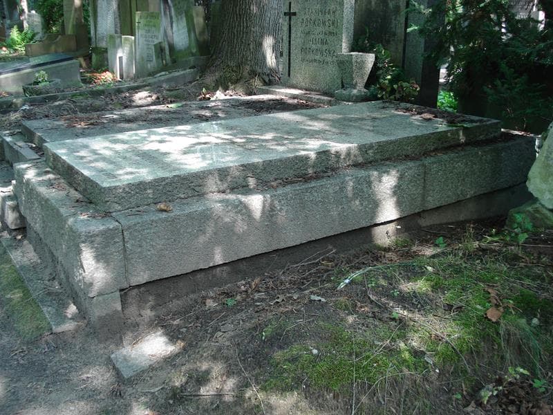 Zdjęcie grobu Aleksander Boleszczyc - Kozłowski (2)