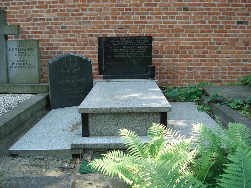 Zdjęcie grobu: Witold Przywieczerski