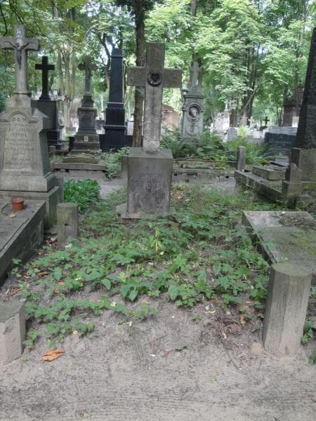 Zdjęcie grobu: Stanisław Osikowski