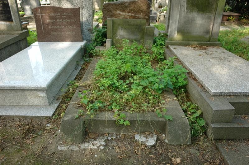 Zdjęcie grobu Adela Jarkowska (1)