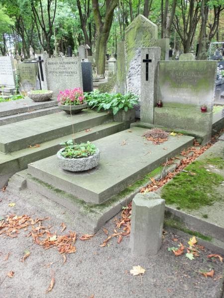 Zdjęcie grobu Stanisław Jędrzejowicz (1)