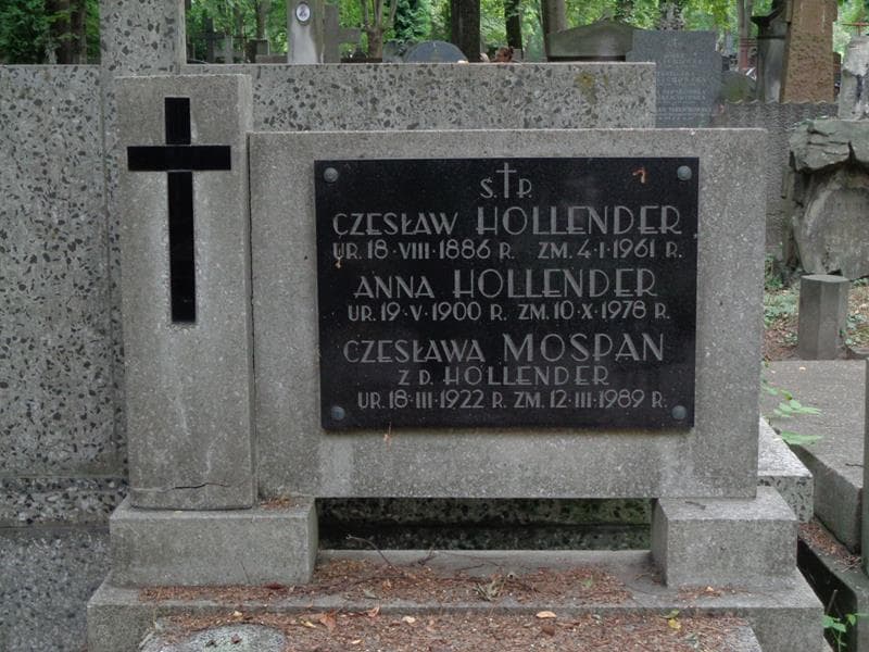 Zdjęcie grobu Anna Hollender (2)