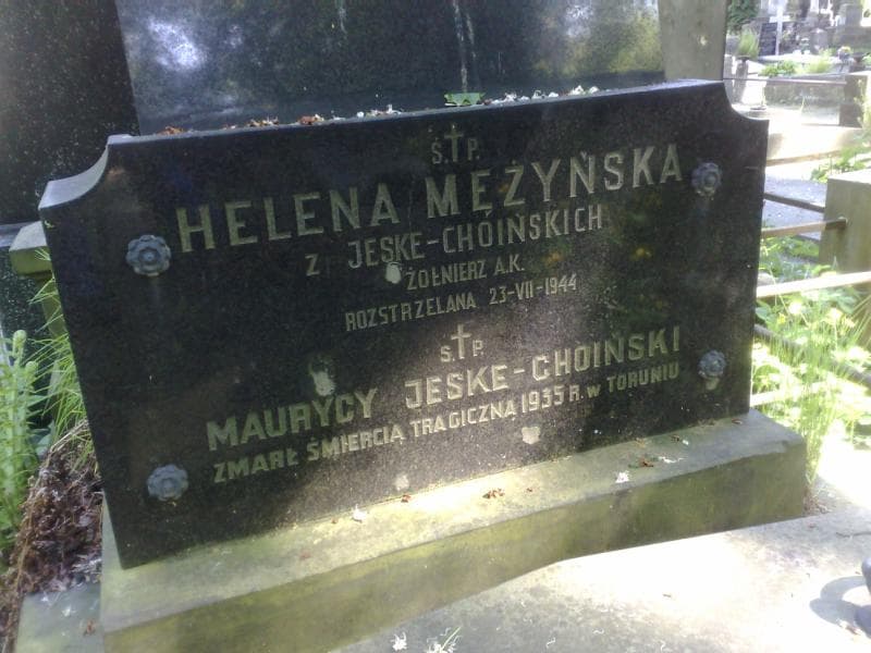 Zdjęcie grobu Teodor Jeske-Choiński (2)