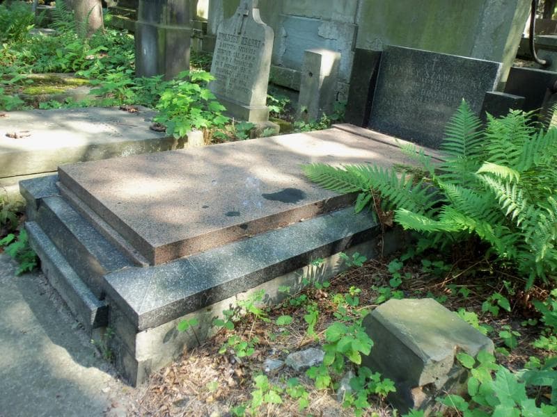 Zdjęcie grobu Ignacy Drozdowski (1)