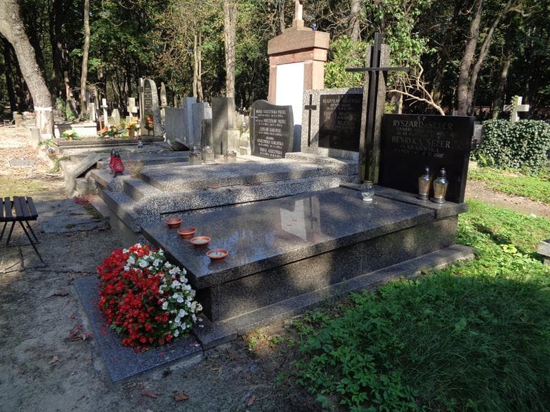 Zdjęcie grobu: Henryka Seler