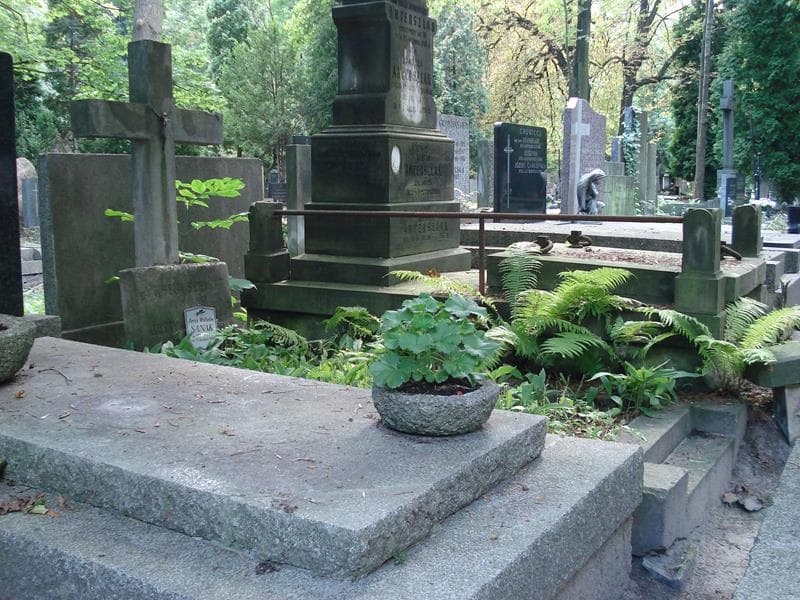 Zdjęcie grobu Justyna Schmidt (1)