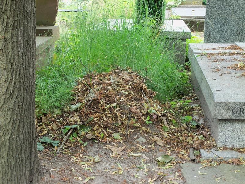 Zdjęcie grobu: Maria Normark