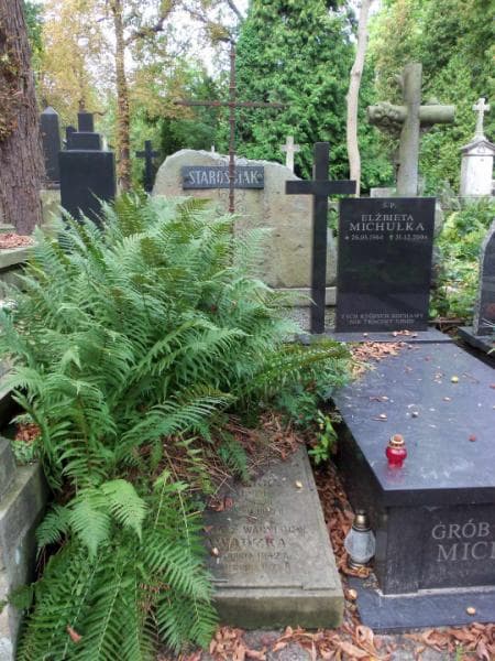 Zdjęcie grobu: Barbara Wagner