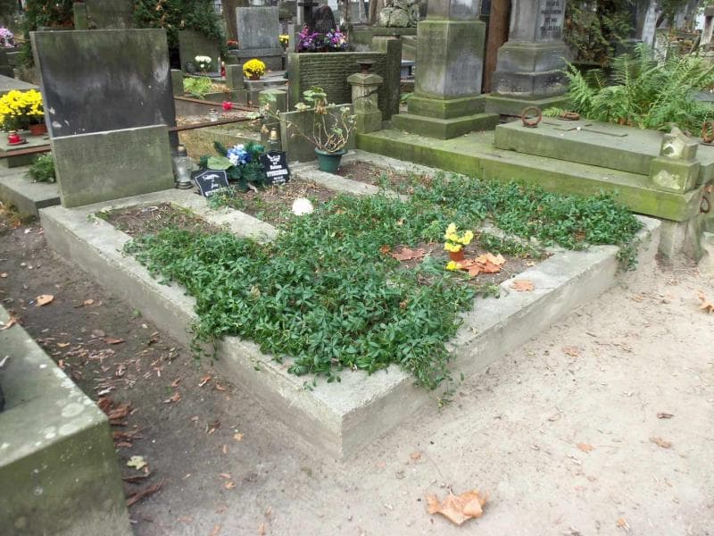 Zdjęcie grobu Jerzy Studziński (1)