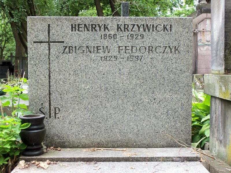 Zdjęcie grobu Henryk Krzywicki (2)