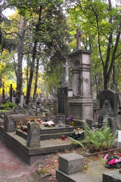 Zdjęcie grobu Aleksander Gołkontt (1)