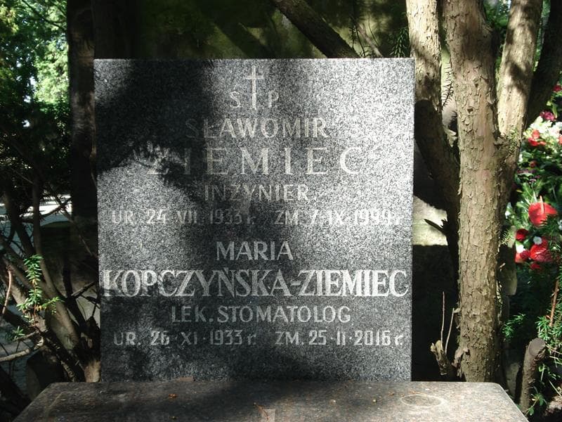 Zdjęcie grobu Jan Firewicz (2)