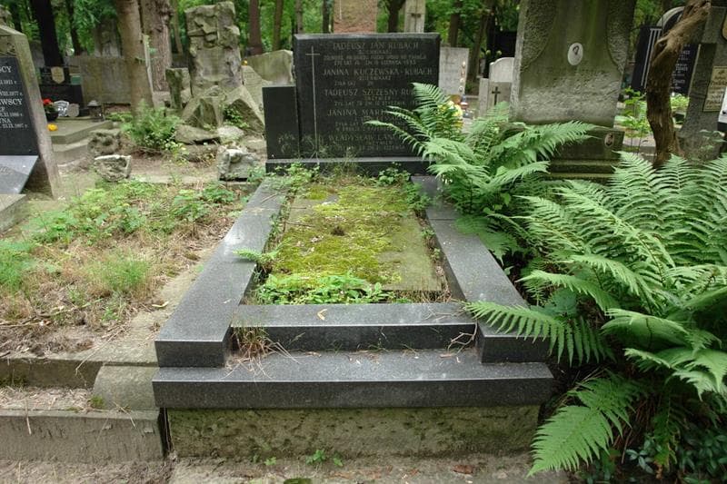 Zdjęcie grobu Władysław Langiewicz (1)