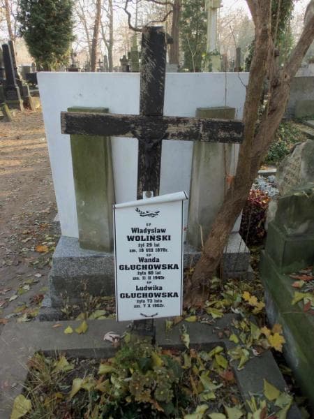 Zdjęcie grobu Ludwika Głuchowska (2)