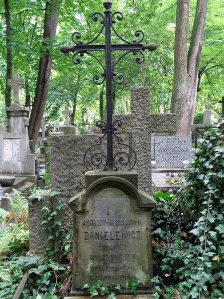 Zdjęcie grobu Aleksander Danielewicz (2)