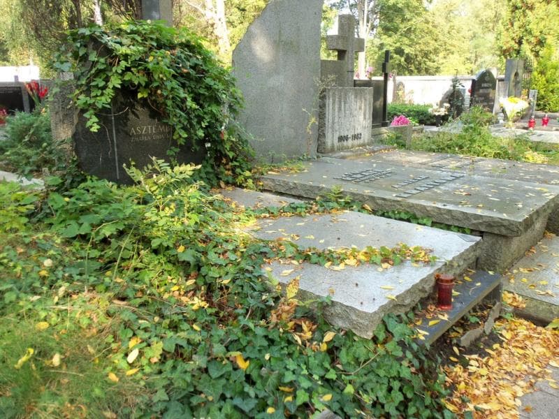 Zdjęcie grobu Stanisław Asztemborski (1)