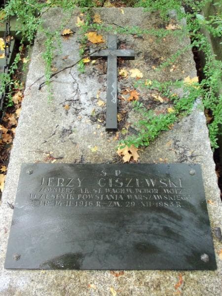 Zdjęcie grobu Jerzy Ciszewski (2)
