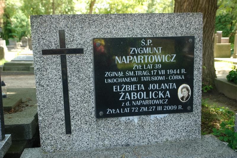 Zdjęcie grobu Zygmunt Napartowicz (2)