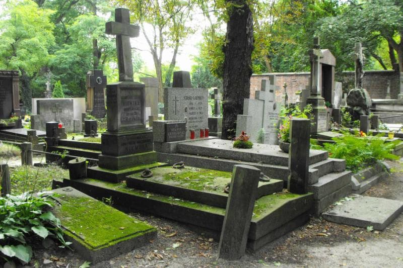 Zdjęcie grobu Antoni Niemira (1)