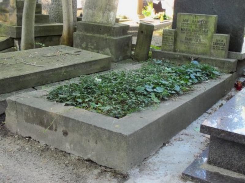 Zdjęcie grobu Jan Daniecki (1)