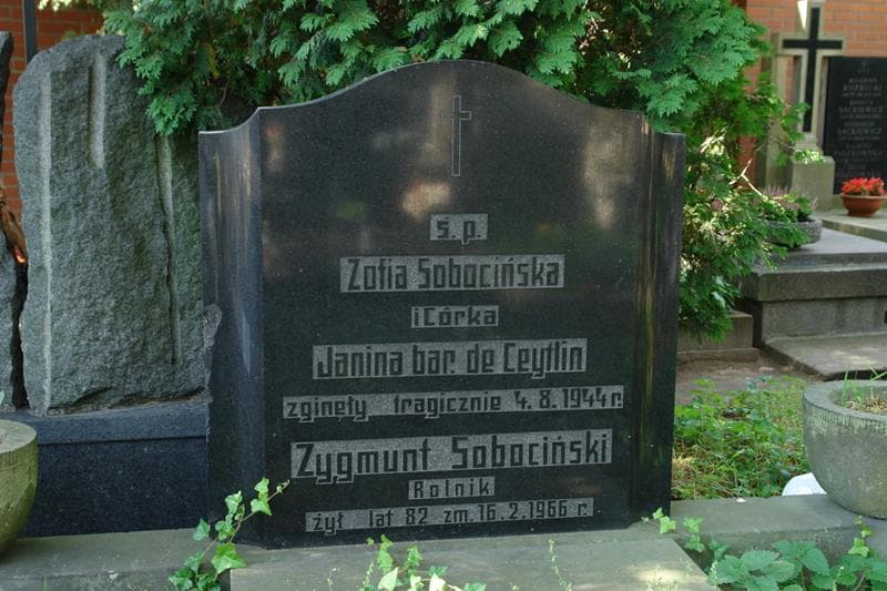 Zdjęcie grobu Janina De Ceytlin (2)