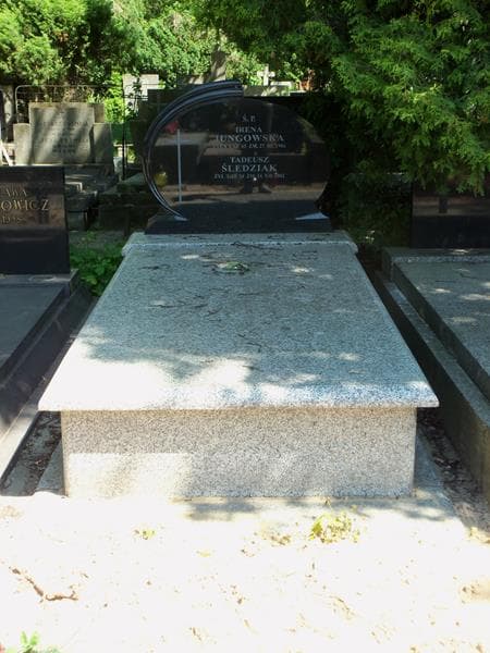 Zdjęcie grobu: Irena Jungowska