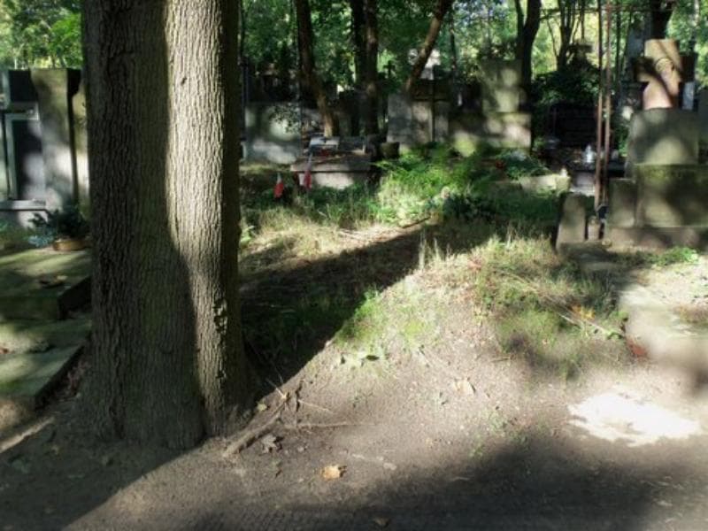 Zdjęcie grobu: Pole Grobowe