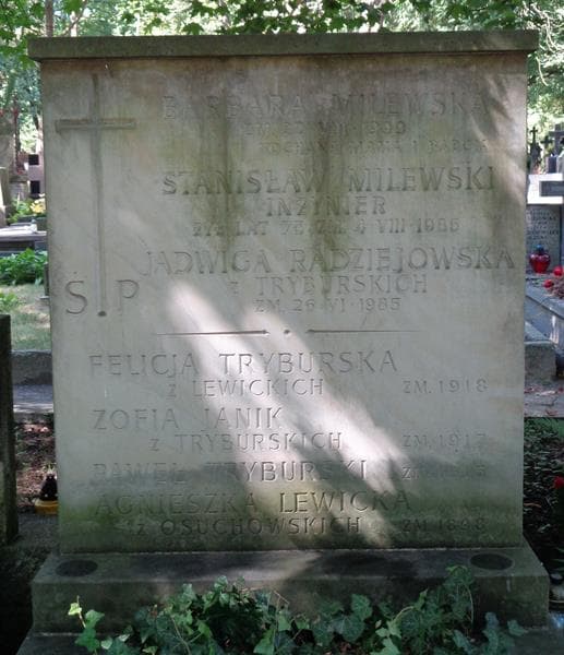 Zdjęcie grobu Zofia Janik (2)
