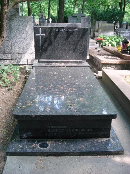 Zdjęcie grobu Aleksy Guzikowski (1)