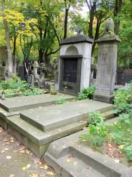 Zdjęcie grobu Franciszek Orzechowski (1)