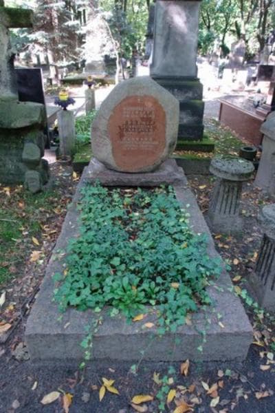Zdjęcie grobu: Kazimierz Leon Toeplitz