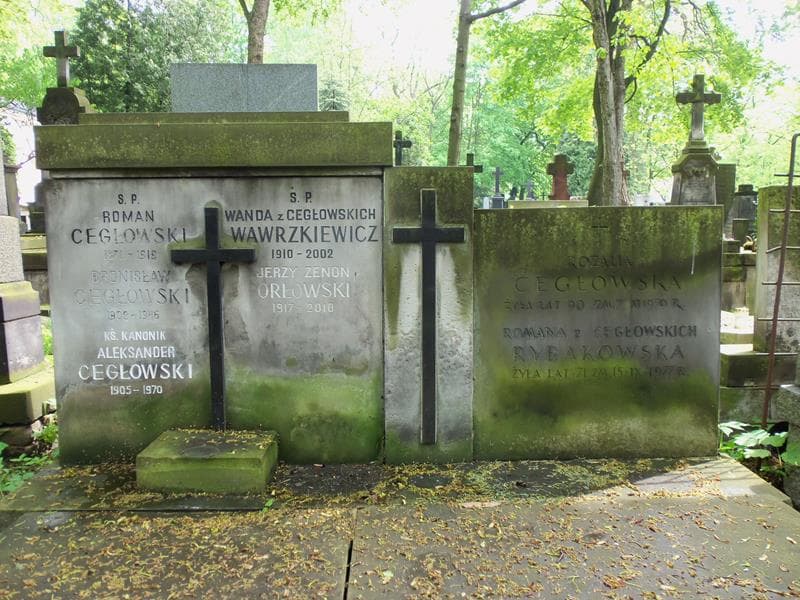 Zdjęcie grobu Aleksander Cegłowski (2)