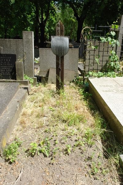 Zdjęcie grobu Jan Effenberger Śliwiński (1)