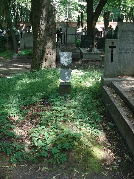 Zdjęcie grobu: Józef Strzelecki