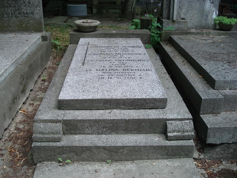 Zdjęcie grobu Maria Antonowicz (1)