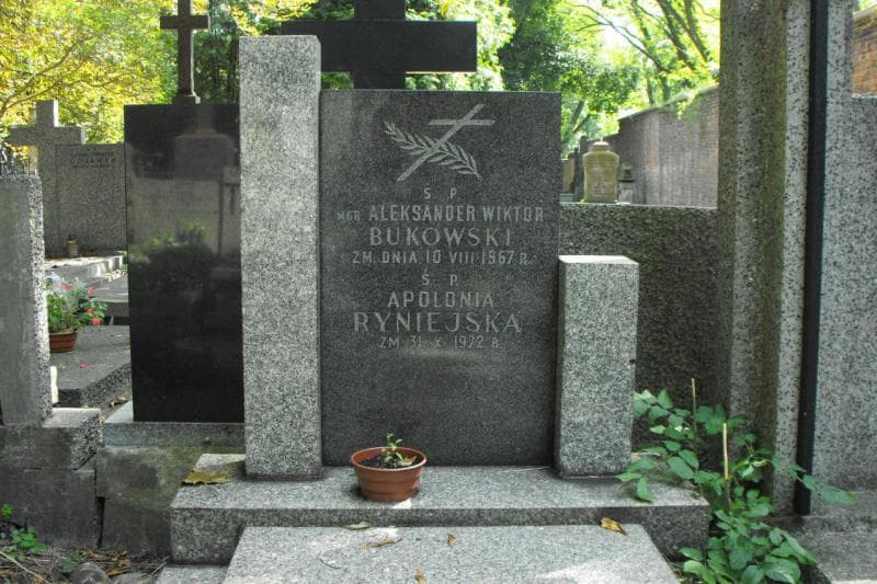 Zdjęcie grobu Aleksander Wiktor Bukowski (1)