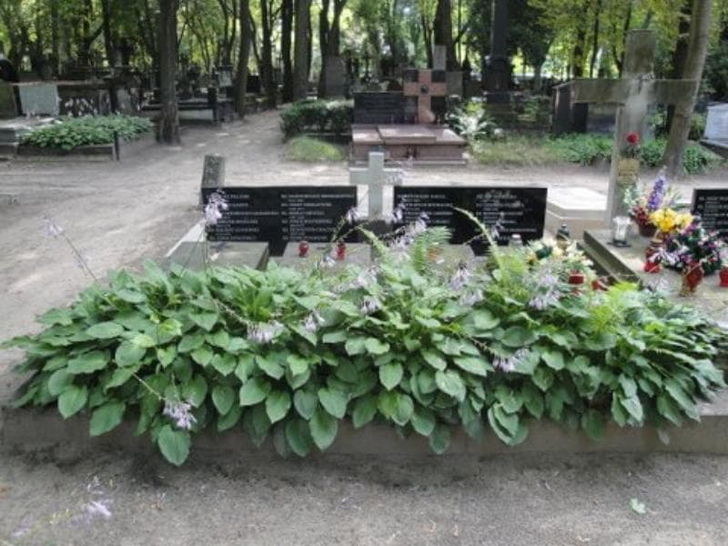 Zdjęcie grobu: Wiktor Pluto-Prądzyński