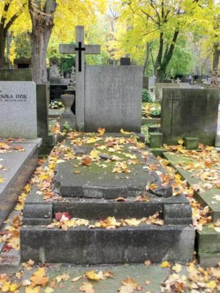 Zdjęcie grobu: Józef Sawicki