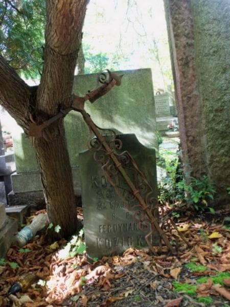 Zdjęcie grobu Ferdynand Kozicki (1)