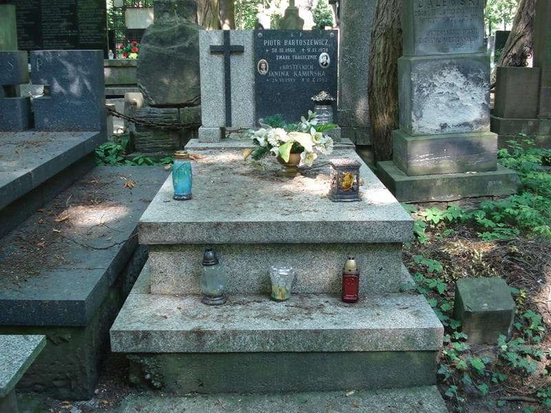 Zdjęcie grobu: Piotr Bartoszewicz