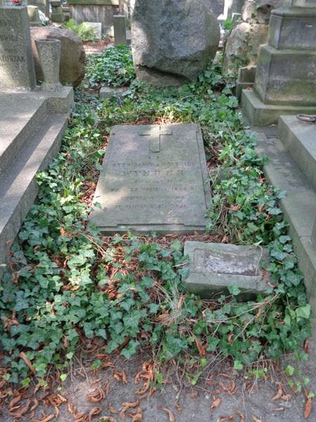 Zdjęcie grobu Bronisława Wynder (1)