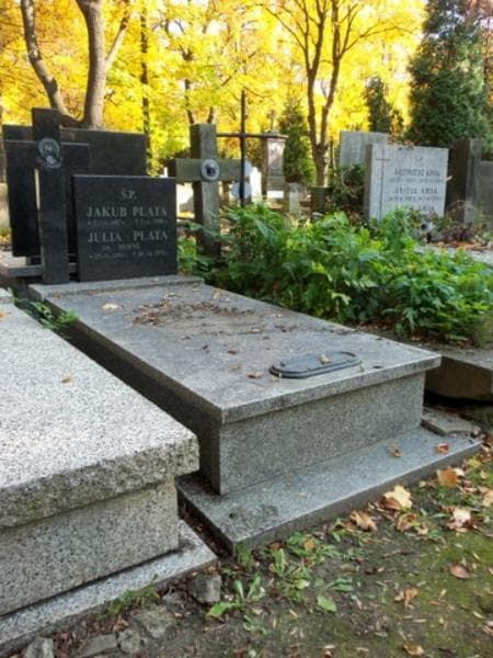 Zdjęcie grobu Julia Plata (1)
