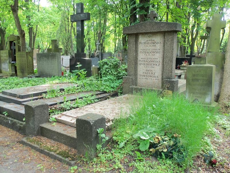 Zdjęcie grobu Zofia Paulisz Pawłowska (1)