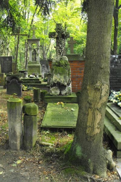 Zdjęcie grobu: Konstancja Kulikowska