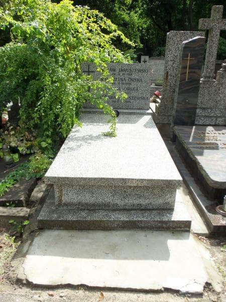 Zdjęcie grobu Wacław Januszewski (1)
