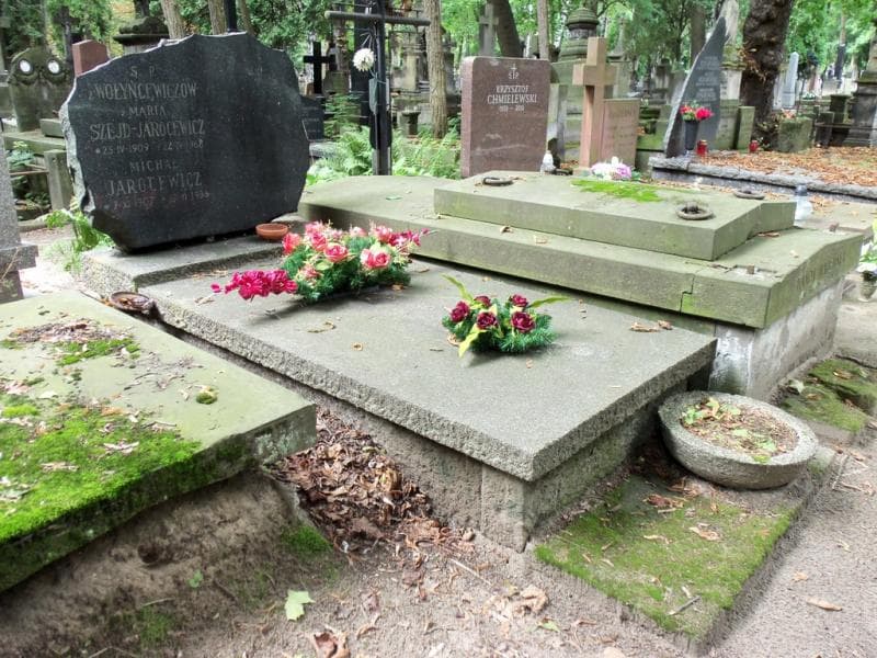 Zdjęcie grobu Michał Jarocewicz (1)