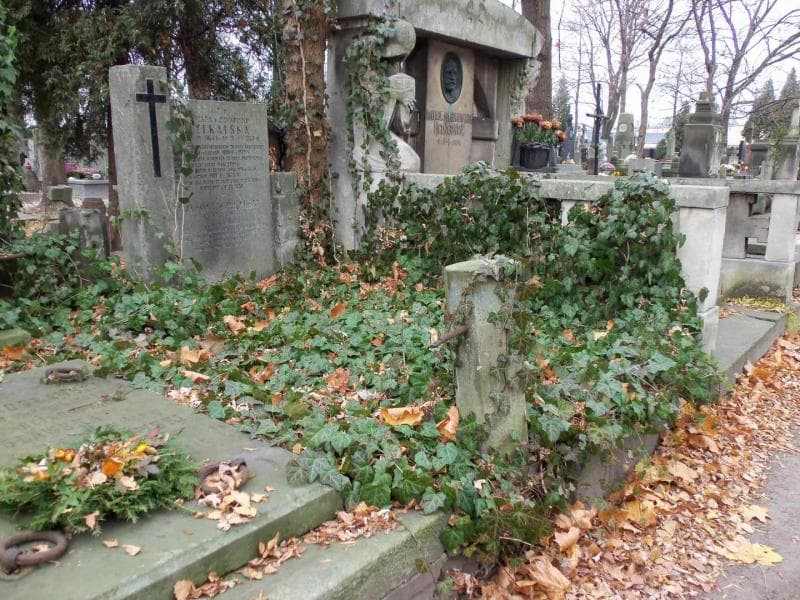 Zdjęcie grobu Józefa Czekalska (1)