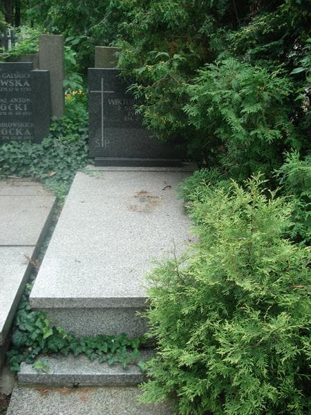 Zdjęcie grobu: Jan Antosiuk