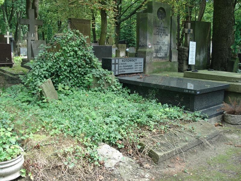 Zdjęcie grobu Teofila Tokarska (1)